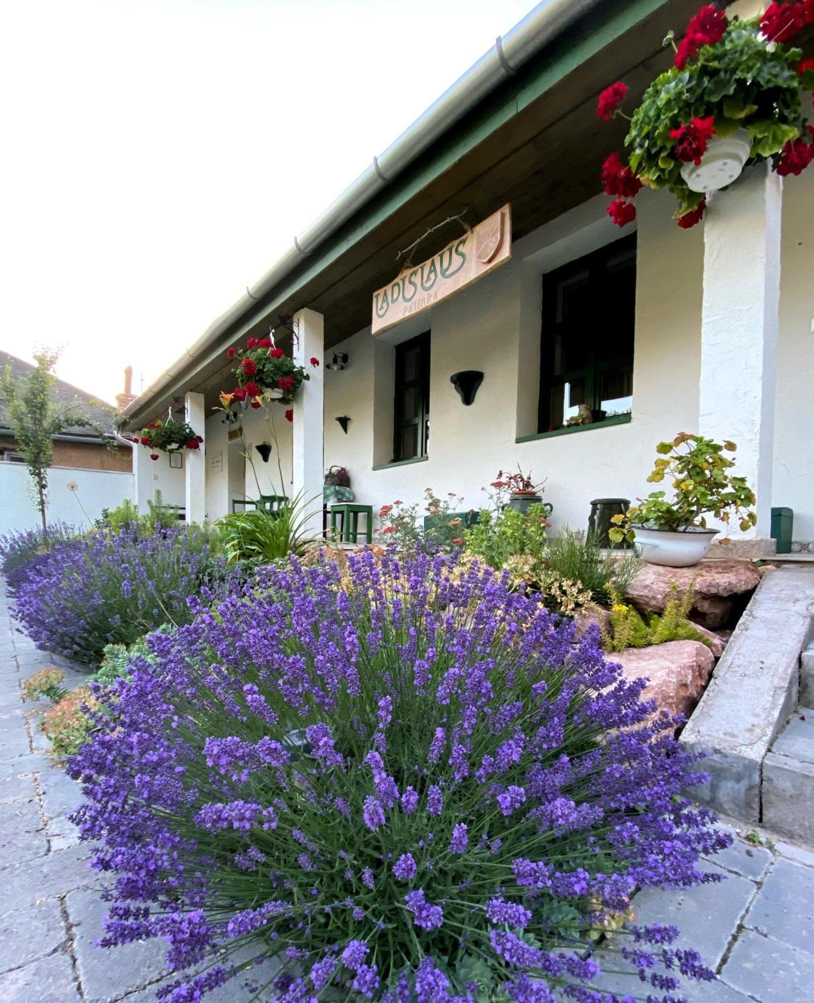 Ladislaus Schnaps-Haus Falusi Vendégház Csolnok Exterior foto